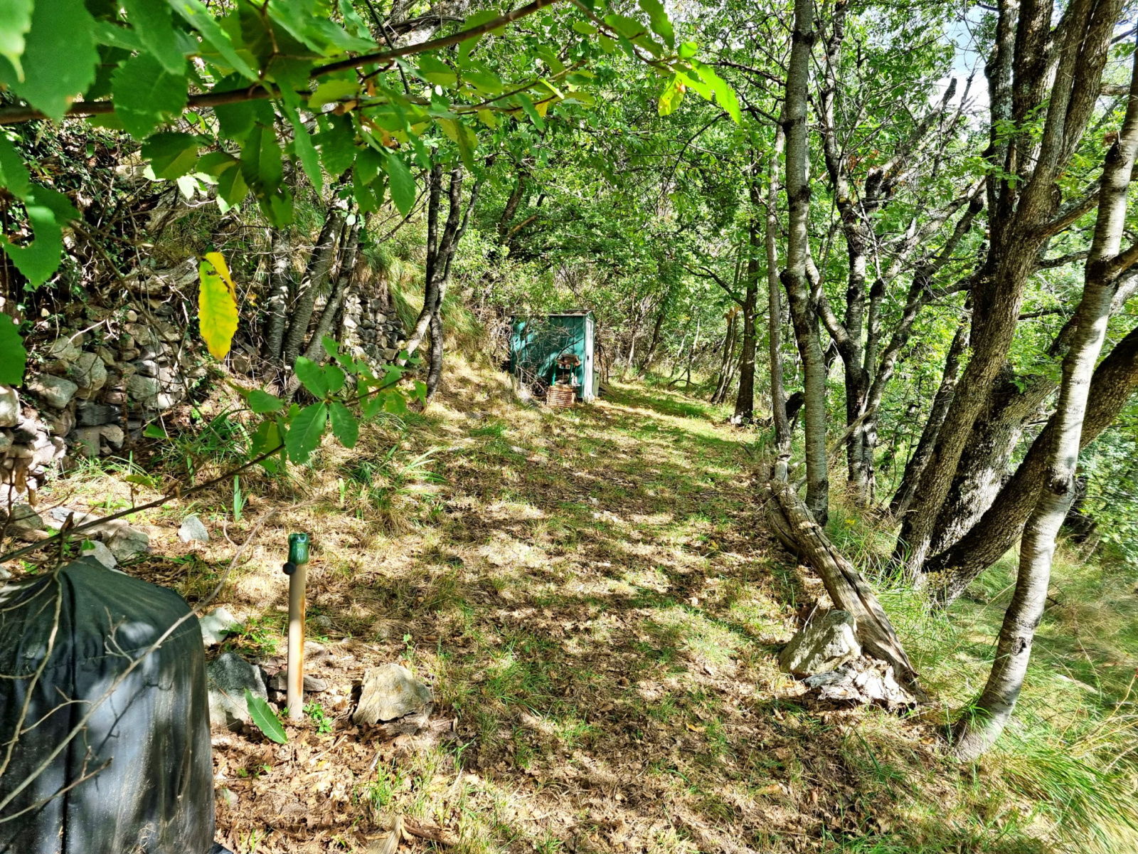 Image_, Terrain de loisir, Belvédère, ref :32T/24