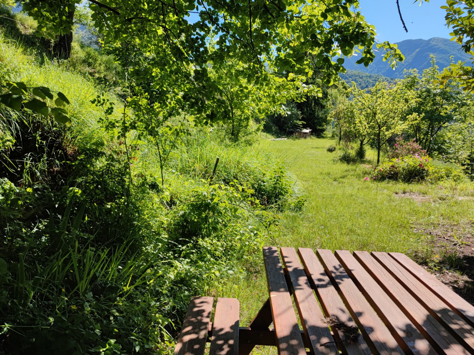 Image_, Maison, Roquebillière, ref :236M/25