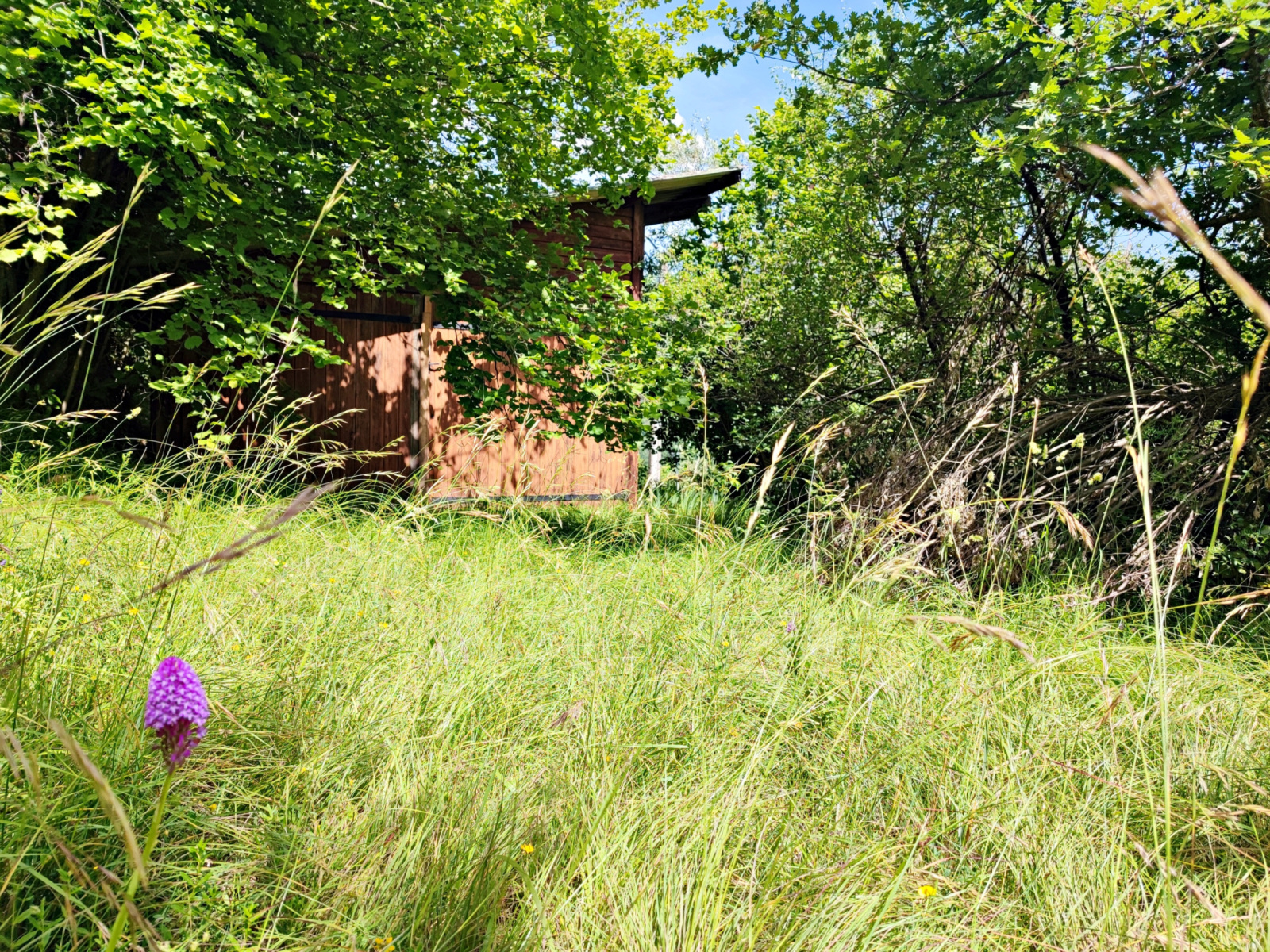 Image_, Maison, Roquebillière, ref :236M/25