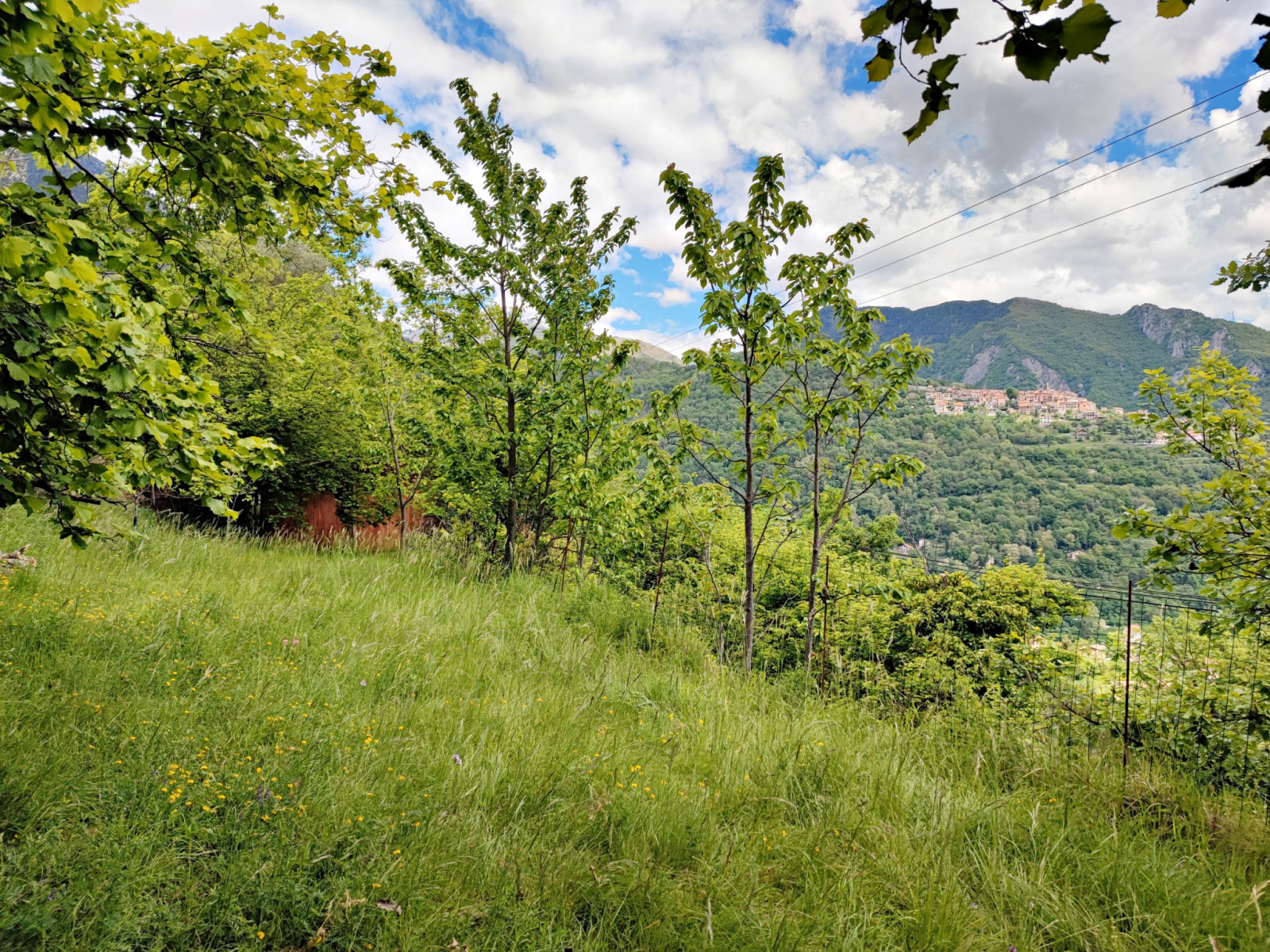 Image_, Maison, Roquebillière, ref :236M/25