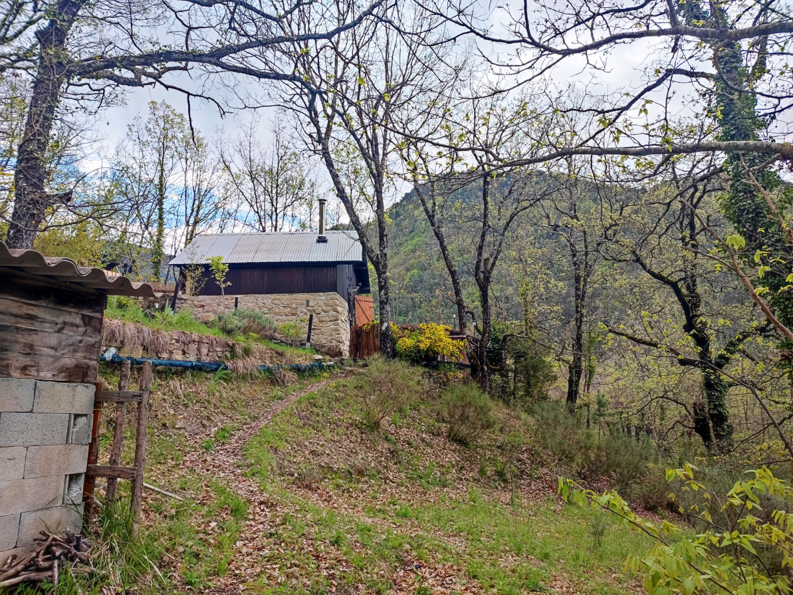 Image_, Chalet, Lantosque, ref :234M/25