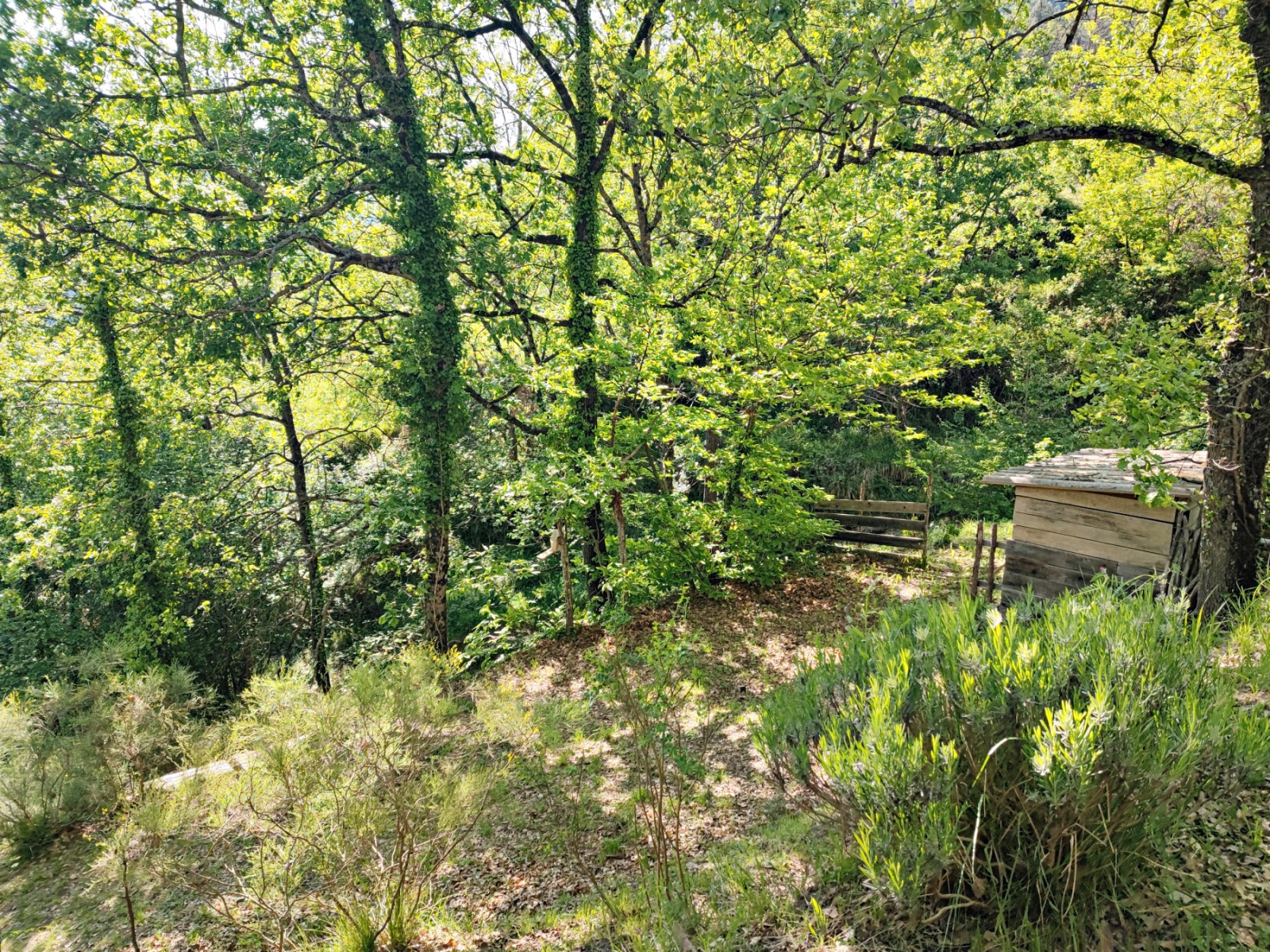 Image_, Maison, Lantosque, ref :234M/25