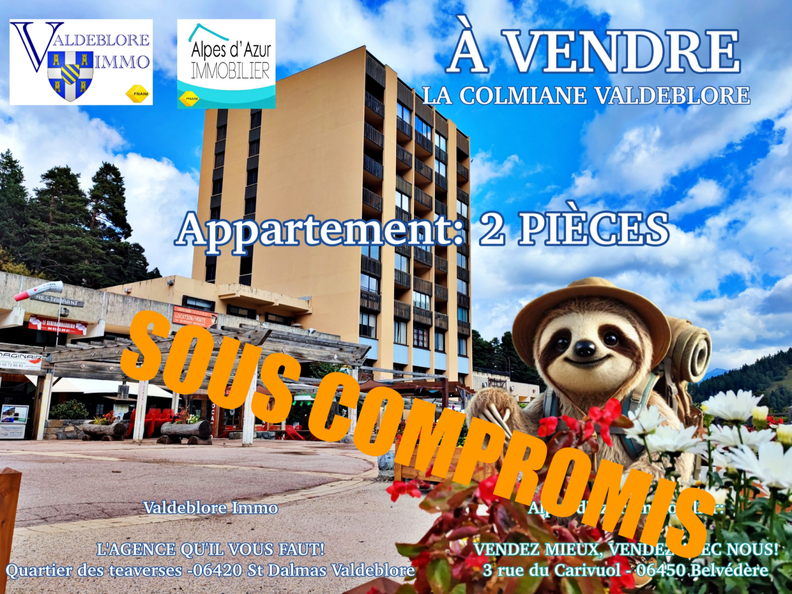 Image_, Appartement, Valdeblore, ref :143A/24